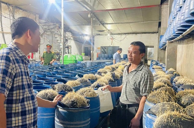 San xuat gia do,  Ngam hoa chat,  Doc hai anh 1