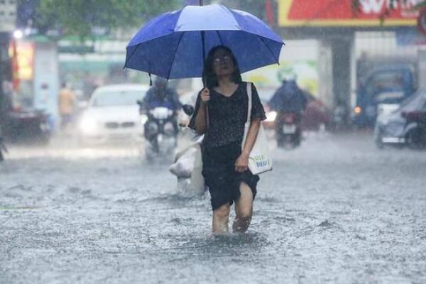 Du bao thoi tiet ngay 20/6: Mien Bac buoc vao dot mua lon hinh anh