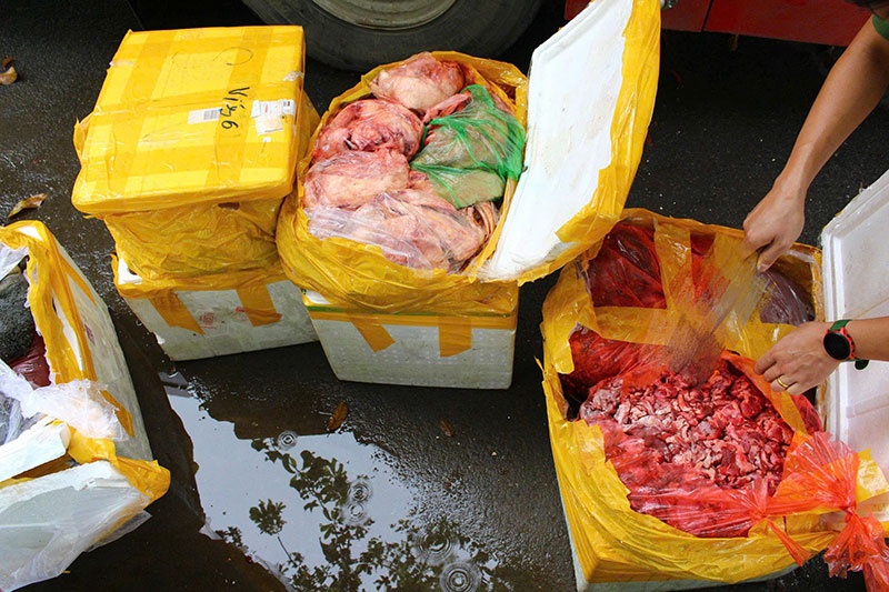 Phat hien thung xop,  Noi tang dong vat,  Hoi thoi anh 1