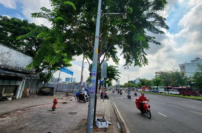 Tai xe trinh dien,  Cong ty Blacker 1111 anh 2