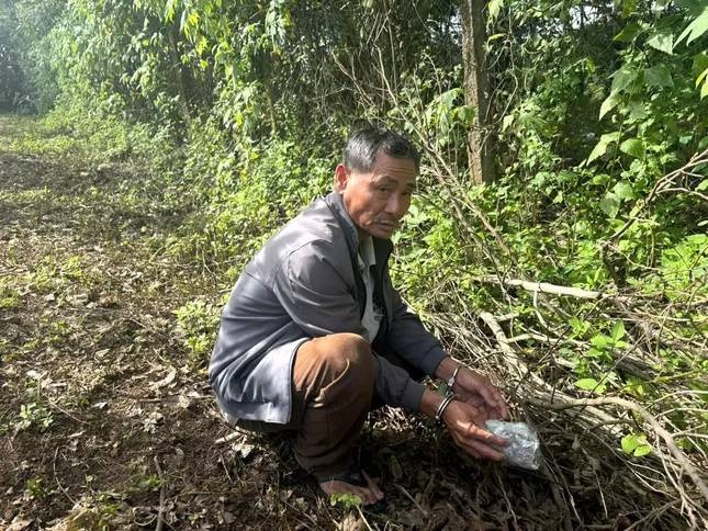 Tau tan ma tuy anh 1