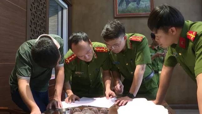 Vi ngo,  Thanh Hoa,  Kham xet anh 2