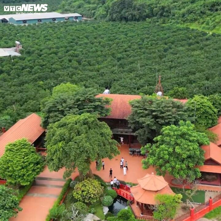 Vi ngo,  Trum giang ho,  Thanh Hoa,  Giang ho Vi ngo anh 3