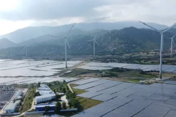 Cuu cuc pho cuc thue bi khoi to vi khong truy thu 73 ty dong hinh anh