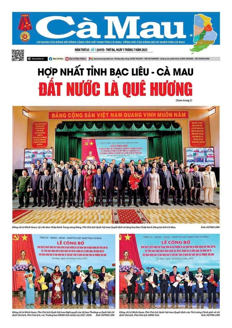 Bao Dang dia phuong anh 6