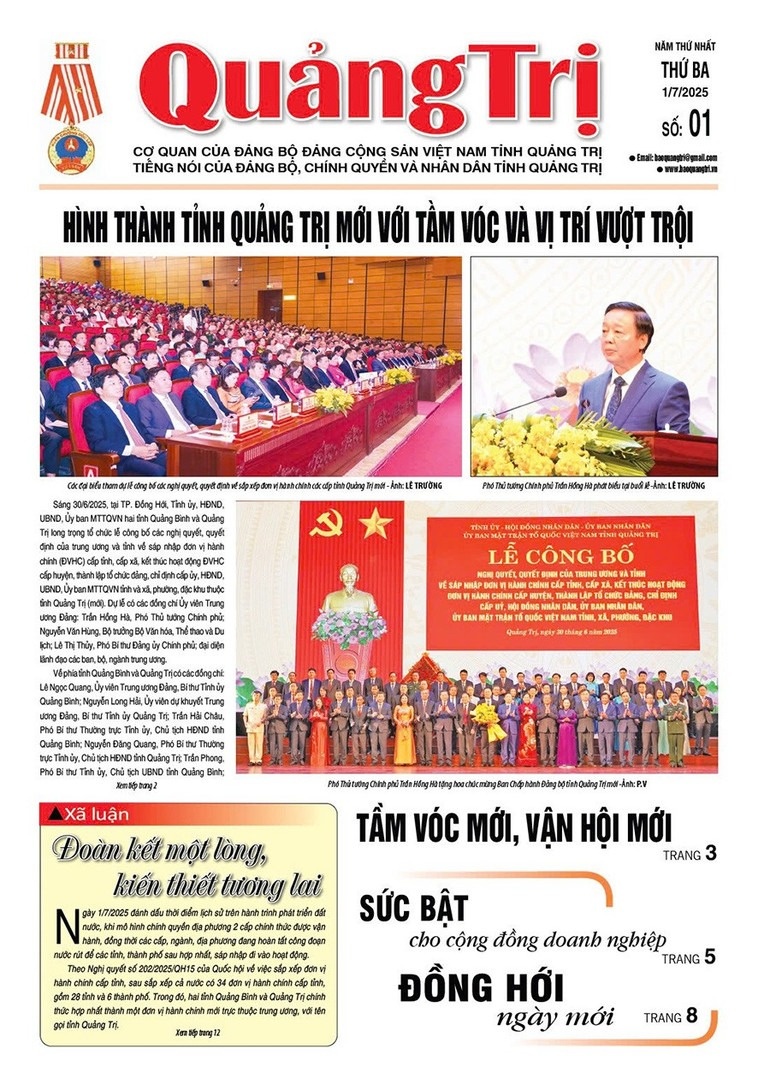 Bao Dang dia phuong anh 17