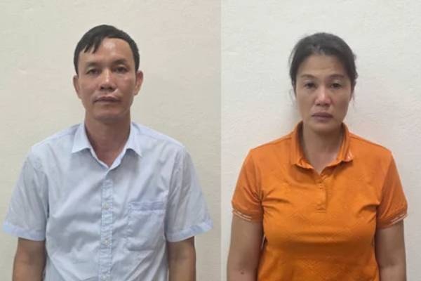 Bat giam doc cong ty cung thuoc cap khai thac trai phep rung tu nhien hinh anh