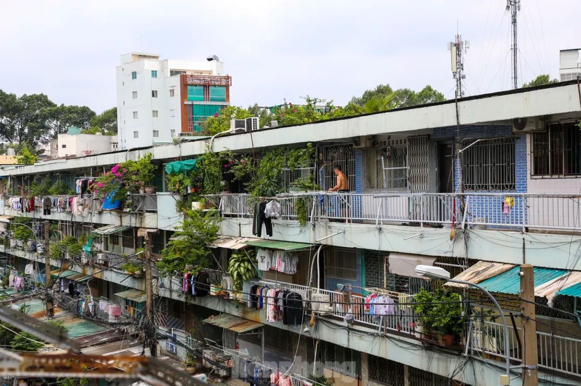 Chay chung cu TP.HCM anh 10