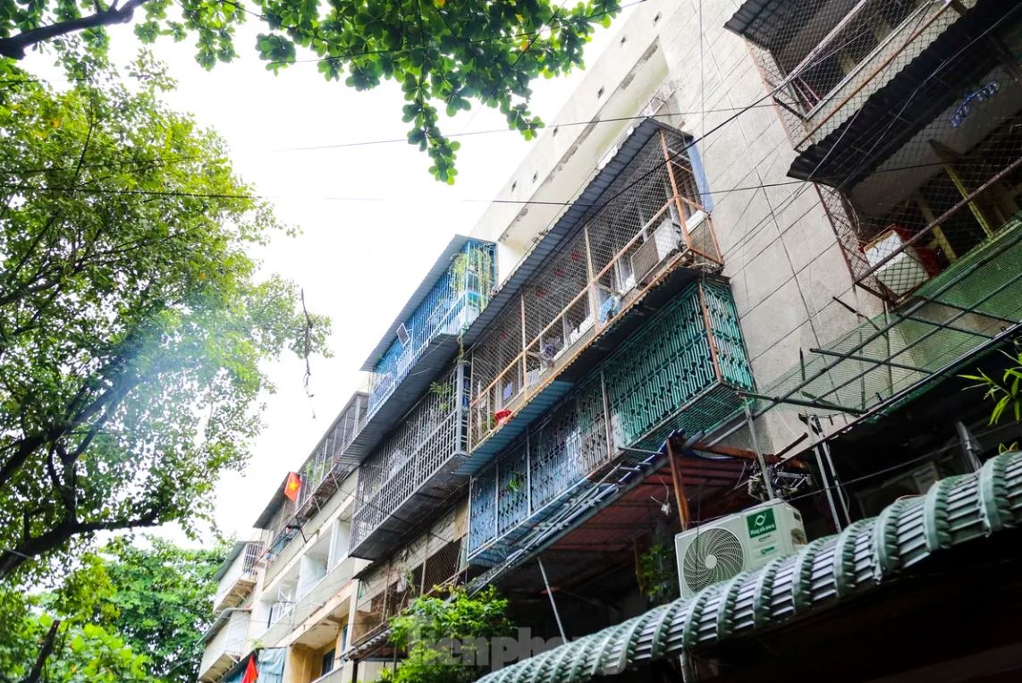 Chay chung cu TP.HCM anh 15