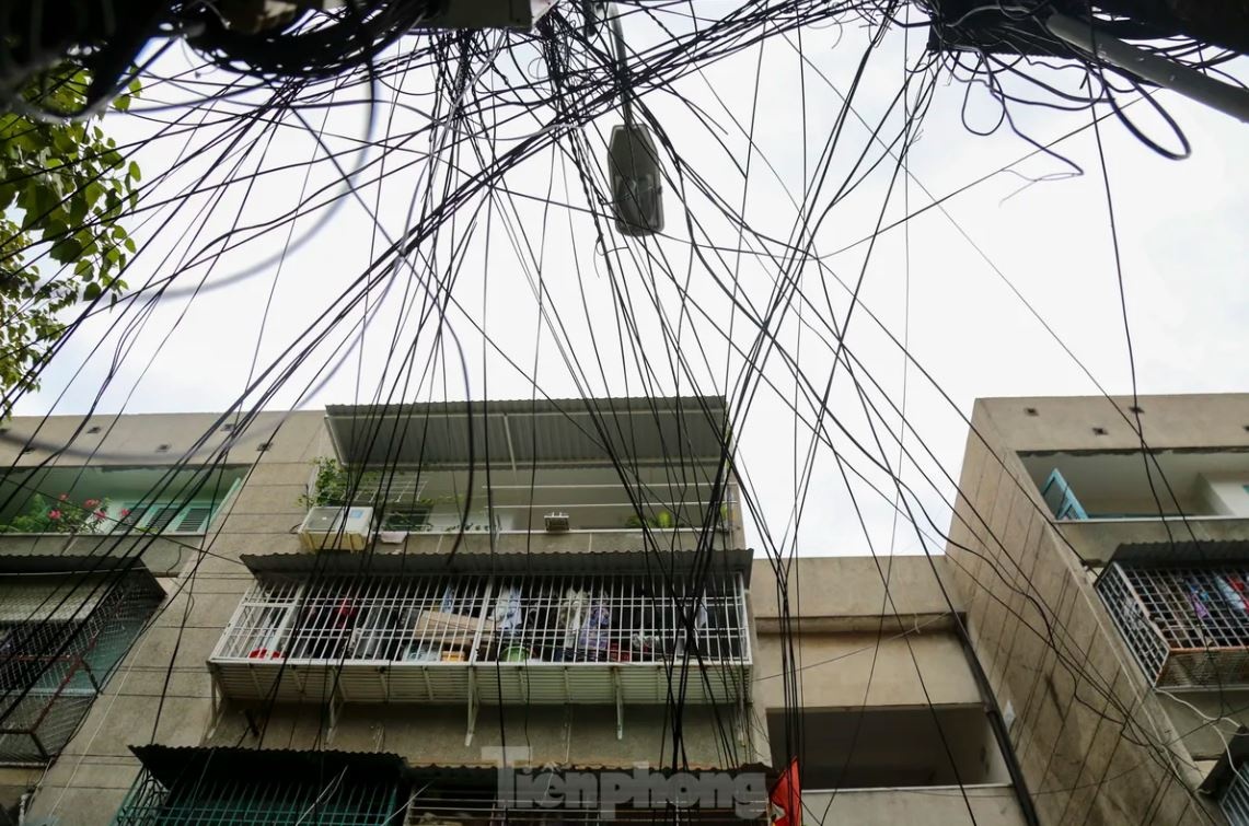 Chay chung cu TP.HCM anh 7