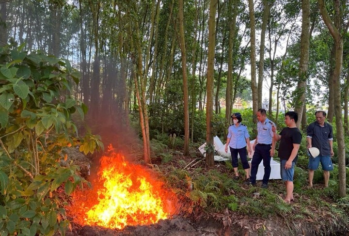 Co so kinh doanh gan 1,5 ta thuc pham dong lanh khong ro nguon goc hinh anh