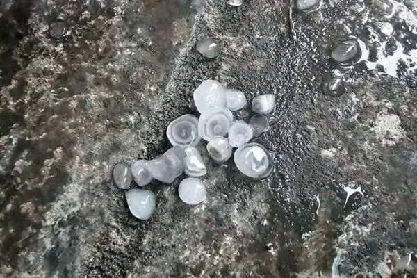 Bao so 3 gay mua da, dong loc tai Quang Ninh hinh anh