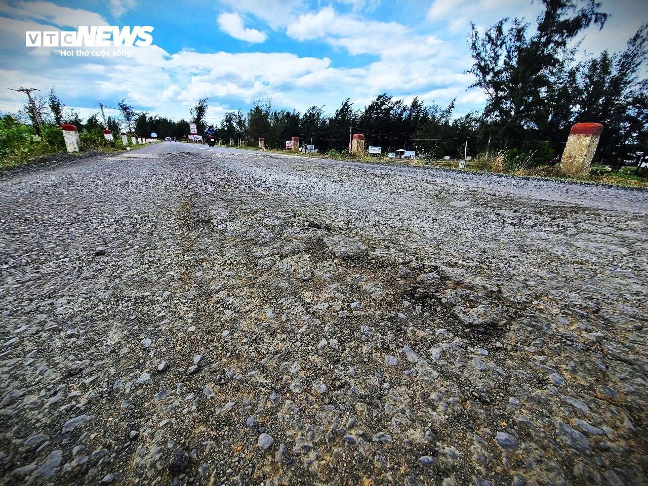 Cay nat Ganh Da Dia anh 11