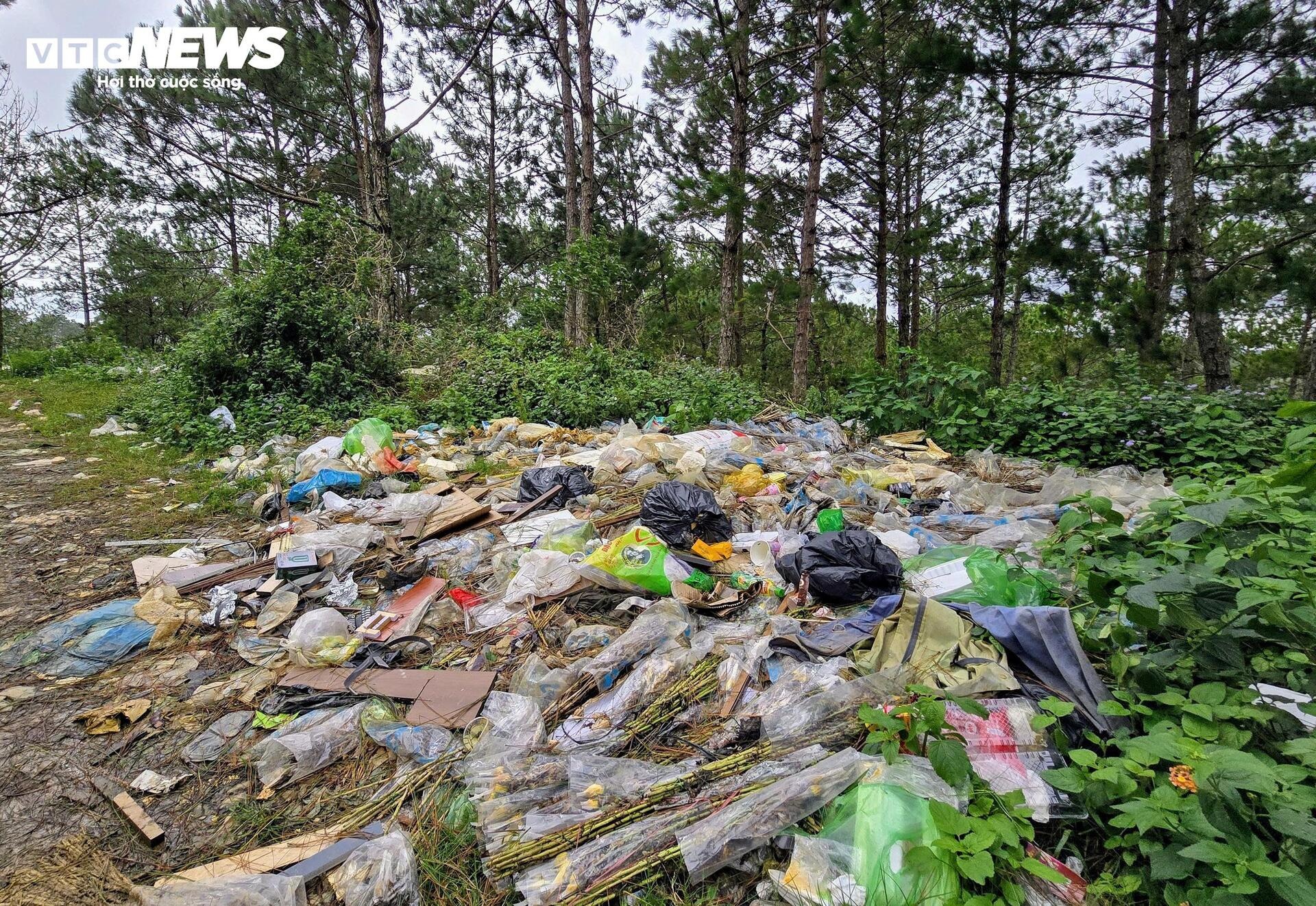 Rac rung LangBiang Da Lat anh 10