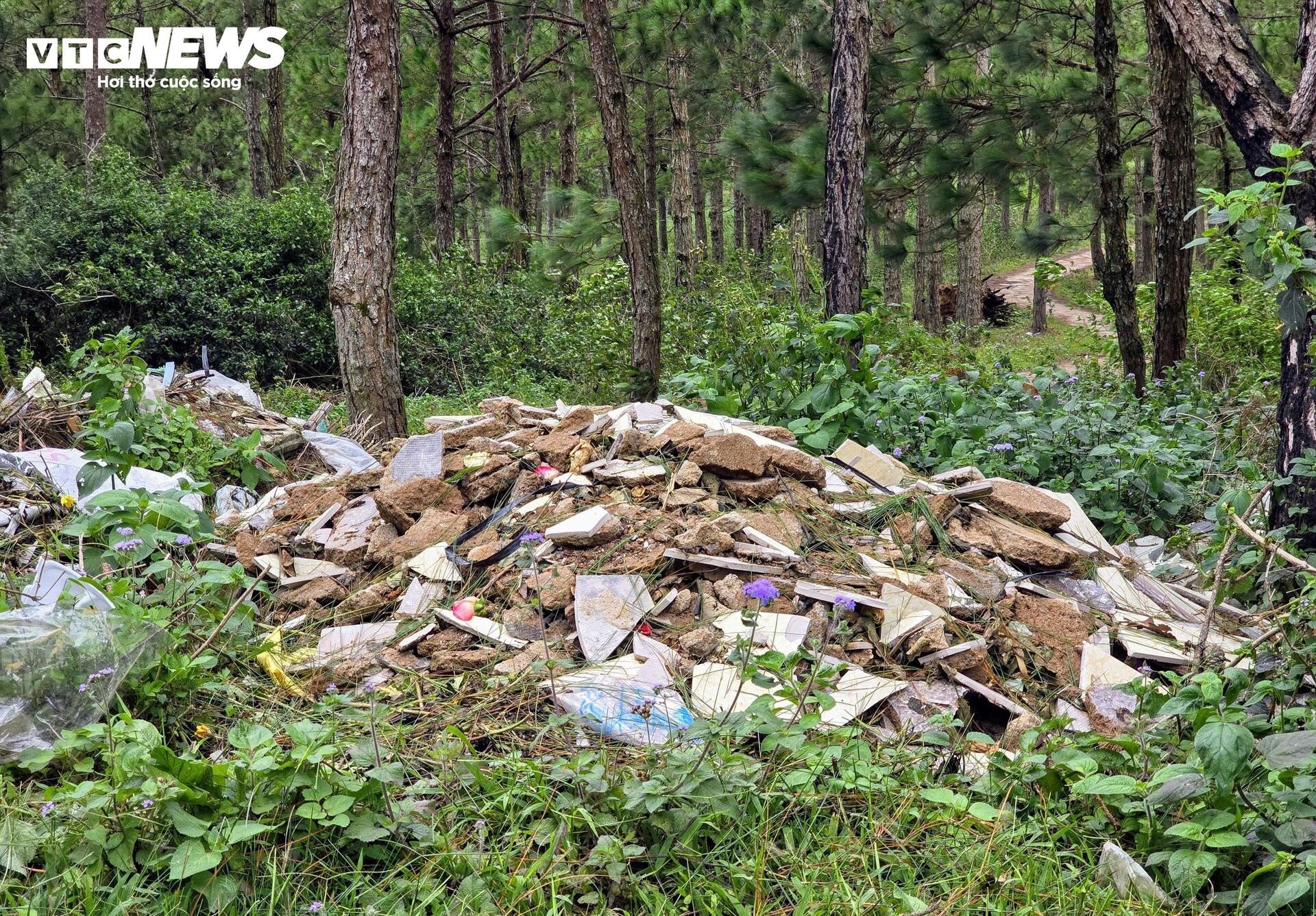 Rac rung LangBiang Da Lat anh 11