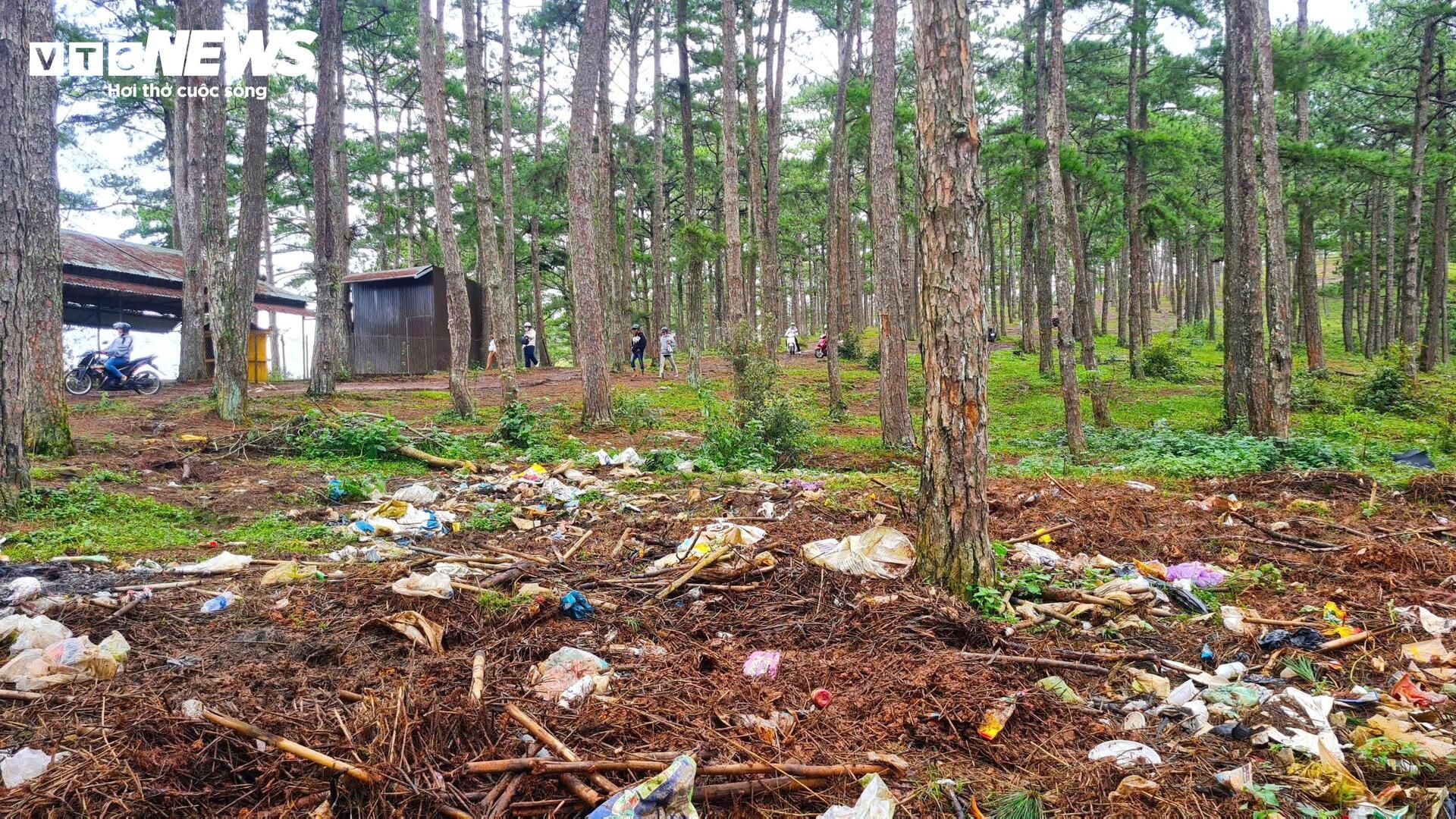 Rac rung LangBiang Da Lat anh 1