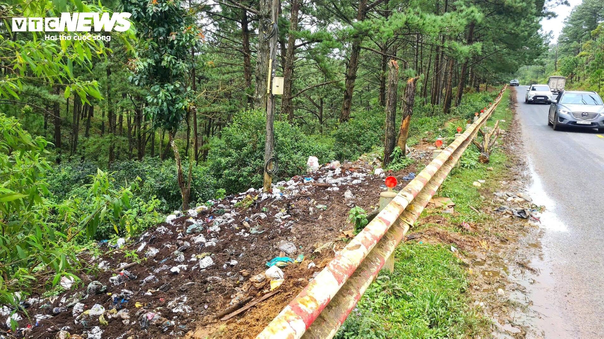 Rac rung LangBiang Da Lat anh 2