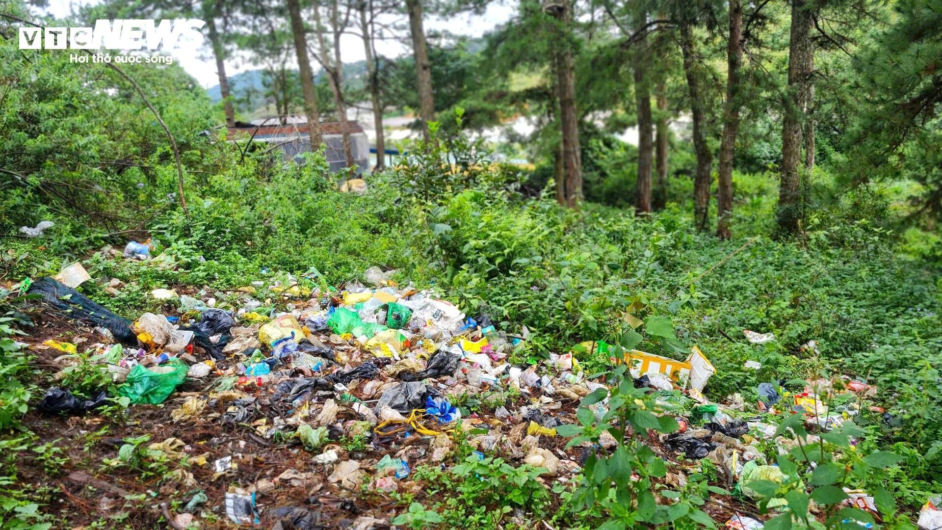 Rac rung LangBiang Da Lat anh 3