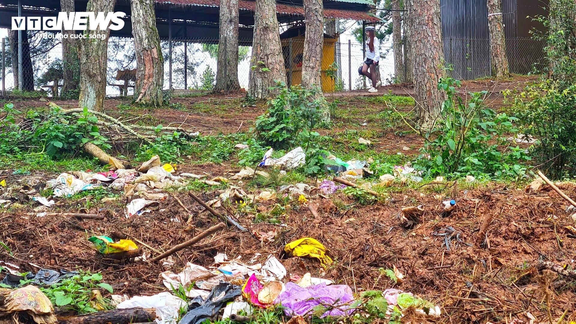 Rac rung LangBiang Da Lat anh 4