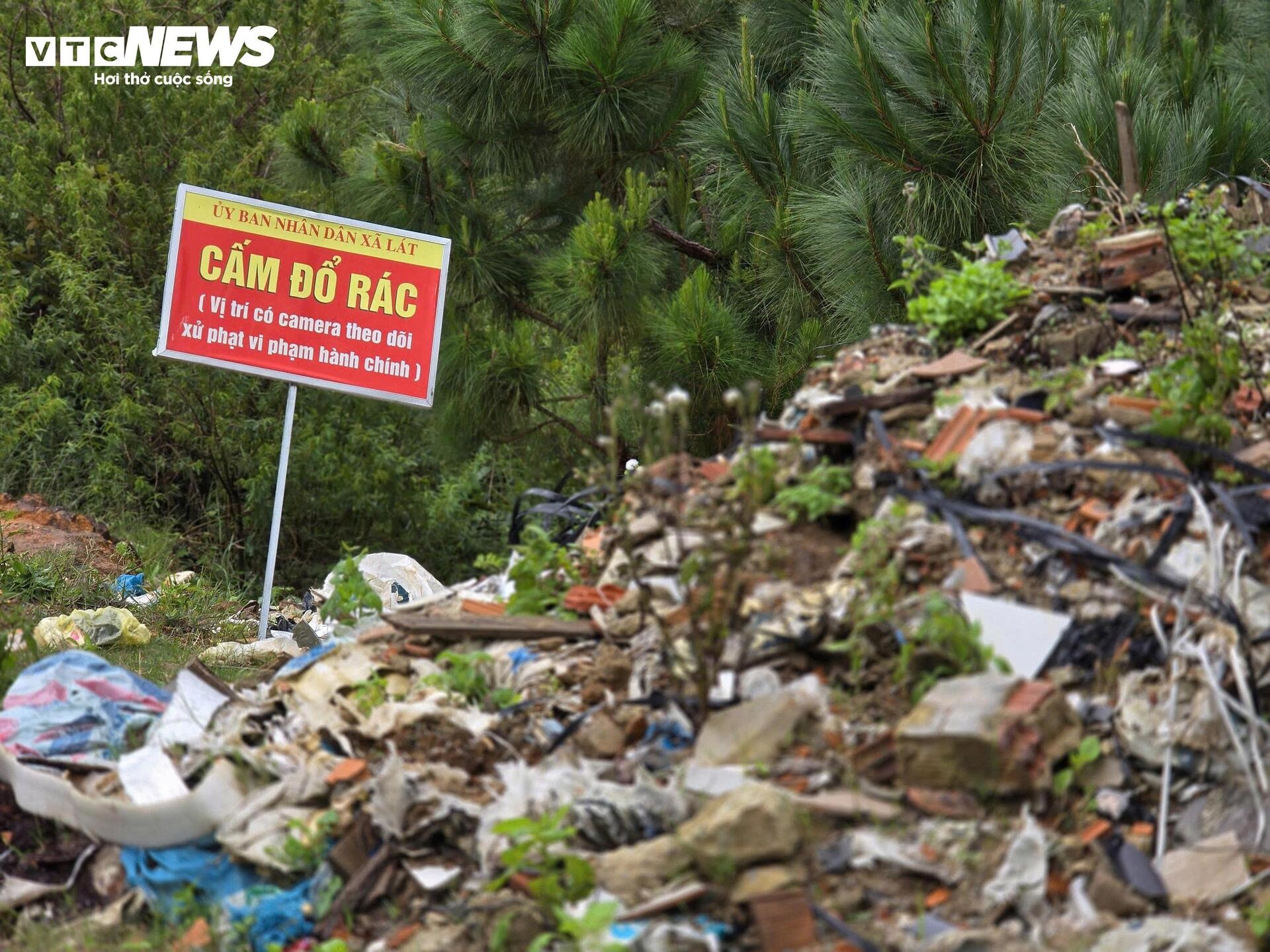 Rac rung LangBiang Da Lat anh 5