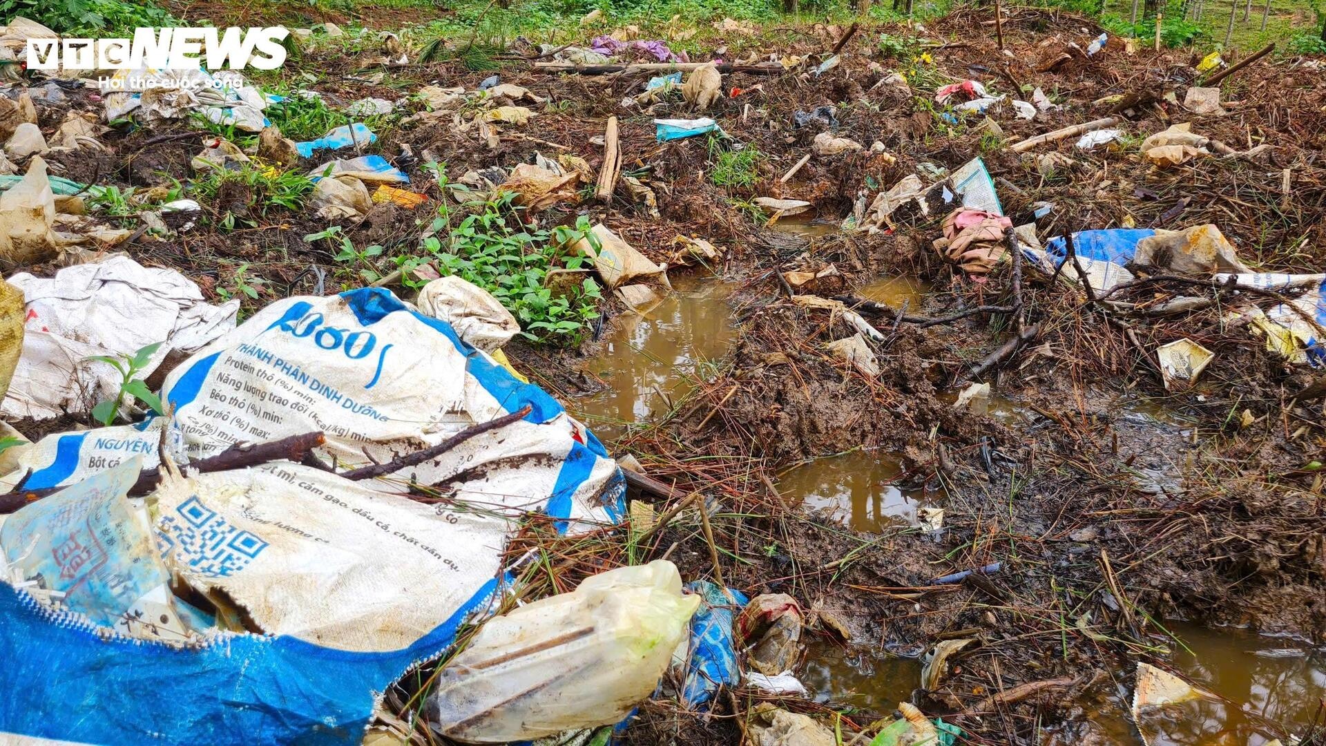 Rac rung LangBiang Da Lat anh 6