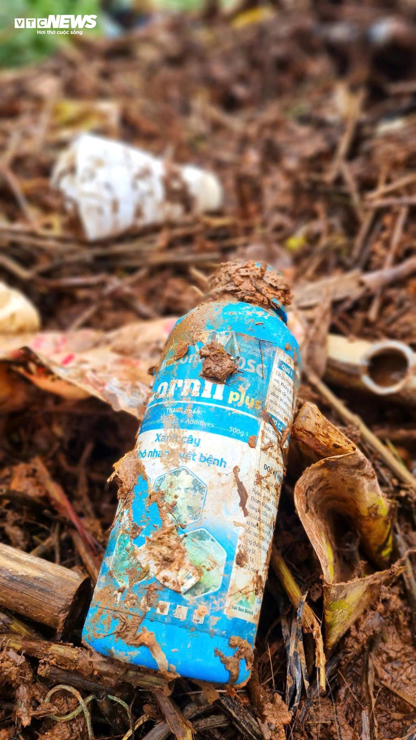 Rac rung LangBiang Da Lat anh 7