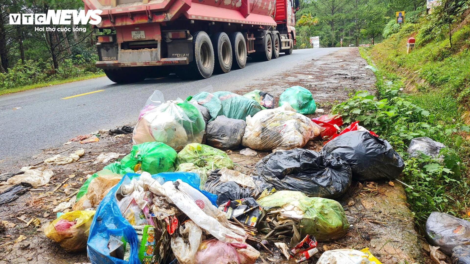 Rac rung LangBiang Da Lat anh 8