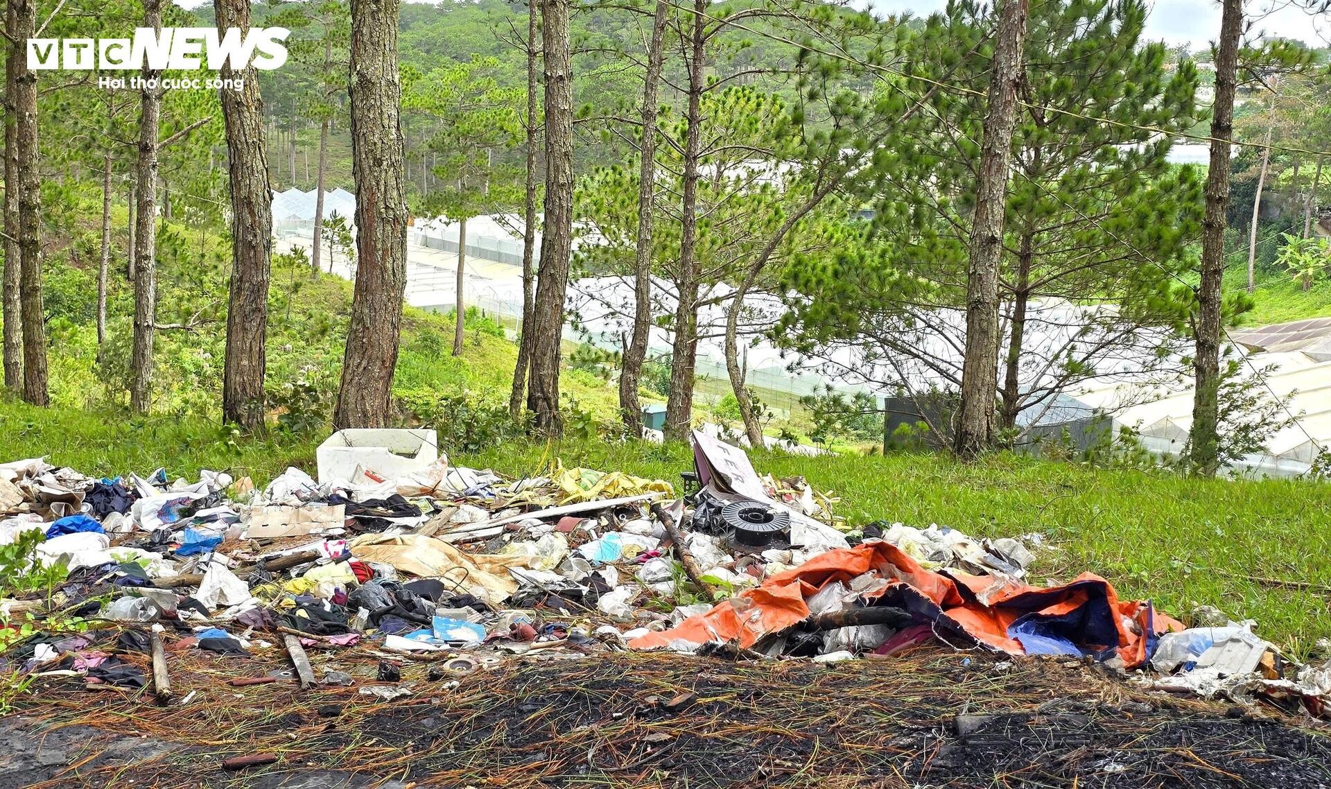 Rac rung LangBiang Da Lat anh 9