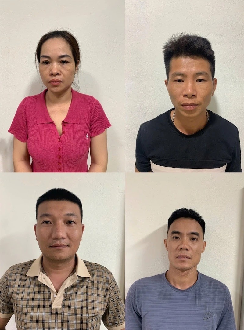 Le Manh Dang,  Le Huu Tuan,  Tho Binh,  Ngo Thi Lan,  Mai Van Hung,  Lon dich benh,  Thanh Hoa anh 2