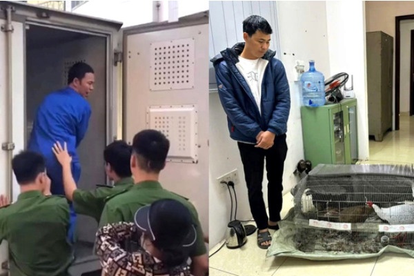 Toan canh vu an 6 nam tu vi ban ga loi trang khien du luan xon xao hinh anh