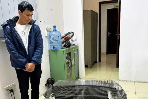 Vu 6 nam tu vi ban ga loi trang: Luat su nhan dinh dien bien phap ly hinh anh