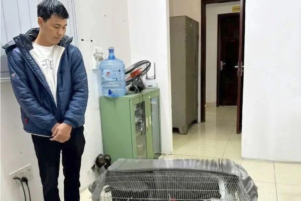 Nhieu luat su muon bao chua mien phi cho anh nong dan ban ga loi trang hinh anh