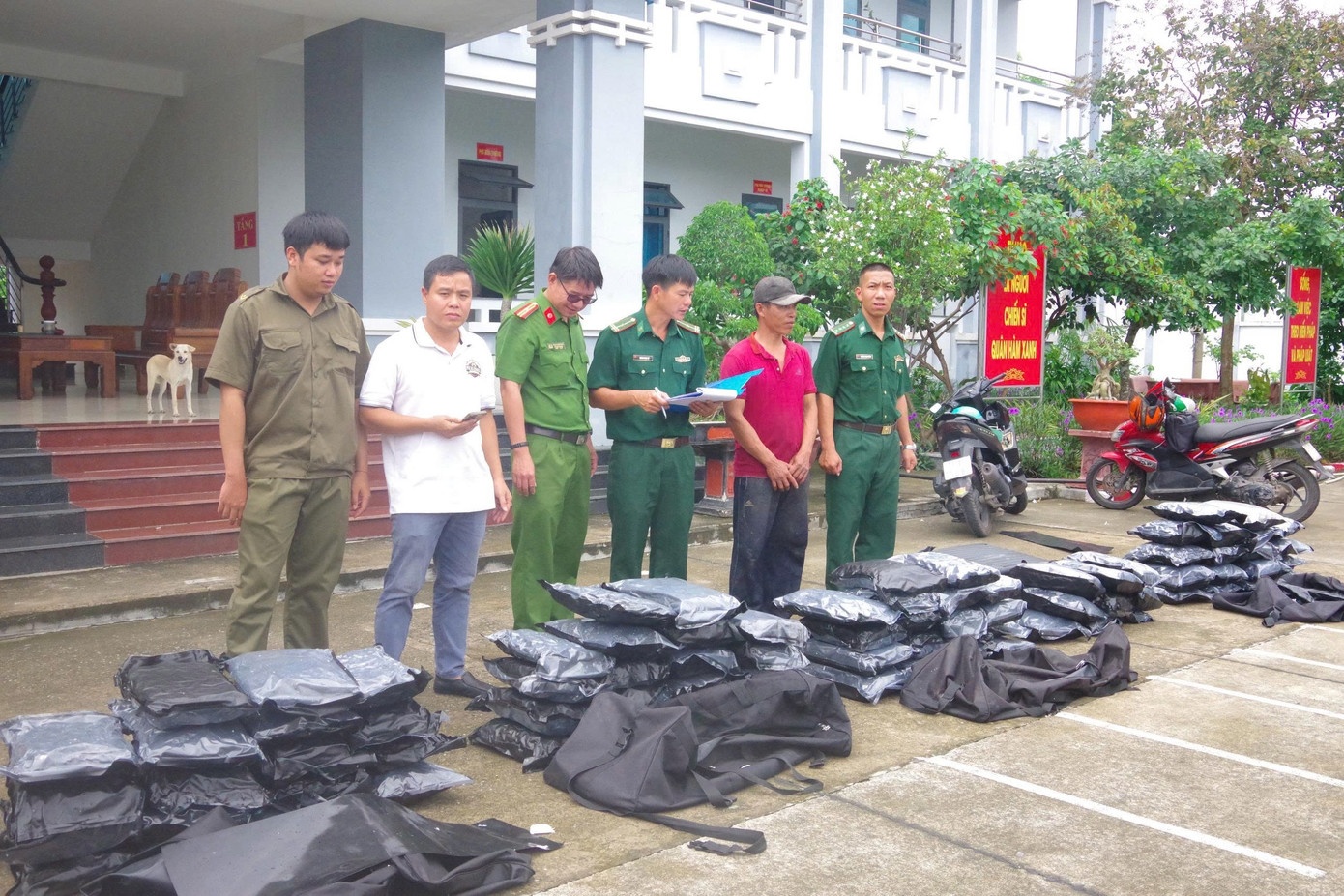 Phat hien 81 kg can sa troi dat tren bien hinh anh