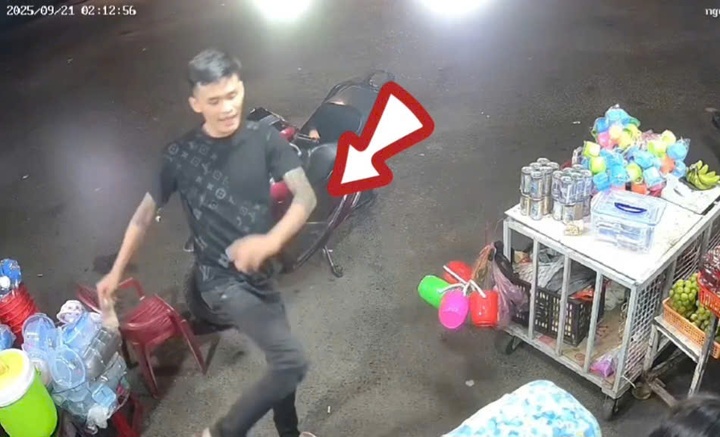 Vu danh thai phu anh 1