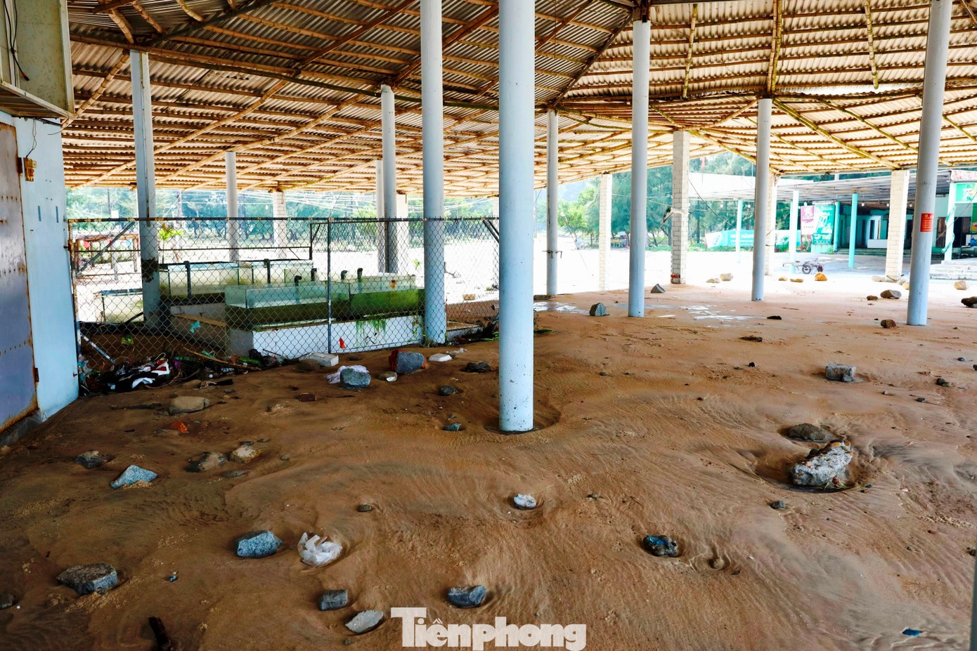 Bai bien Hue bao Bualoi anh 5