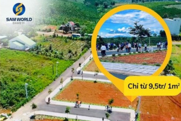 Tap doan Sam Group ve du an 'ma' lua dao chiem doat hon 16,3 ty dong hinh anh