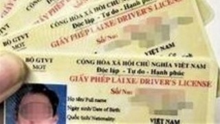 Tim nan nhan vu lua dao 'chay' thi bang lai oto o TP.HCM hinh anh