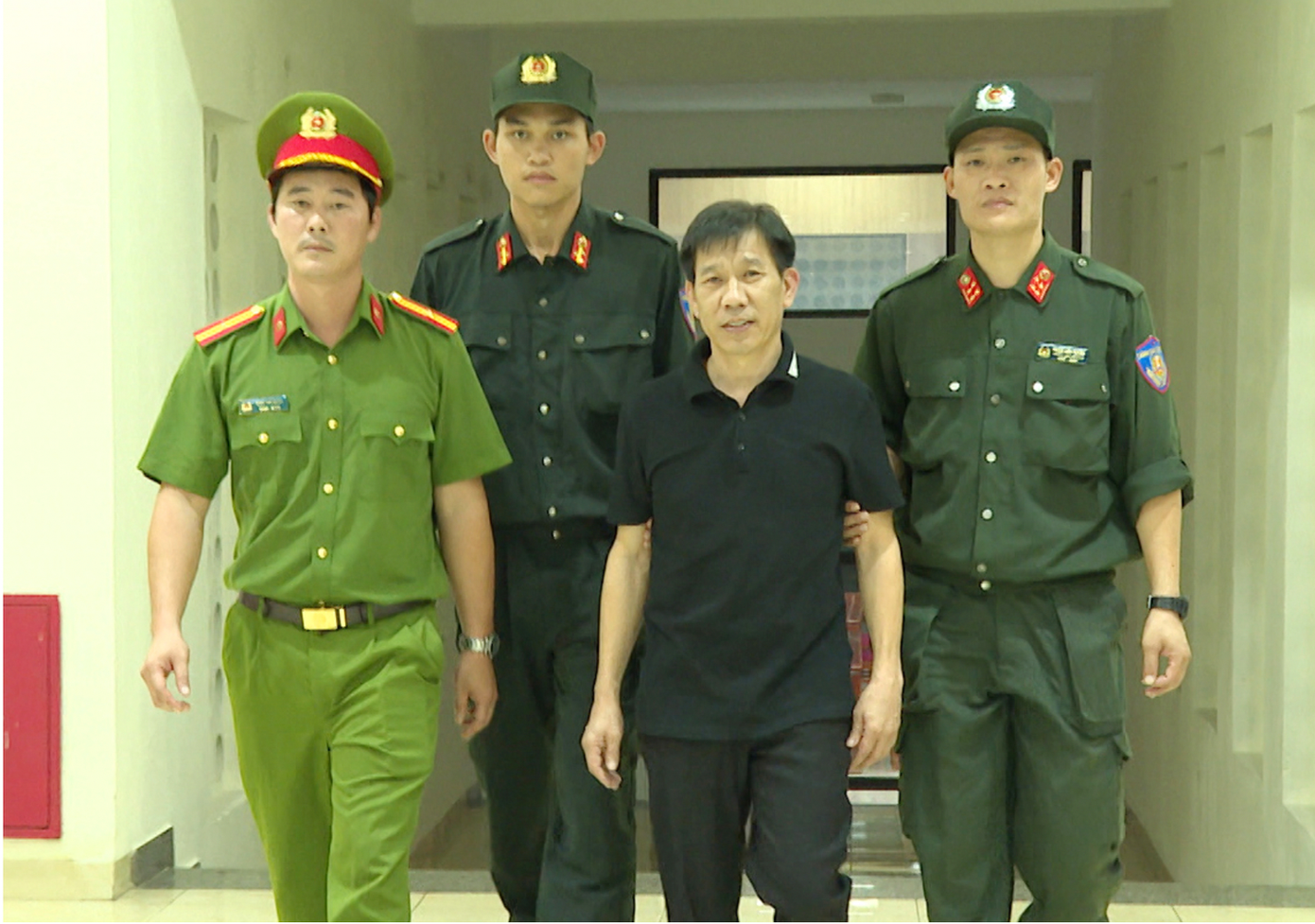 Vi ngộ,  Mạnh gỗ,  Mạnh Tùng Petro ảnh 3 Vi ngo,  Manh go,  Manh Tung Petro anh 3