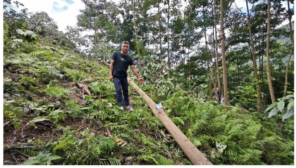 vô ý chết người ảnh 2 vo y chet nguoi anh 2