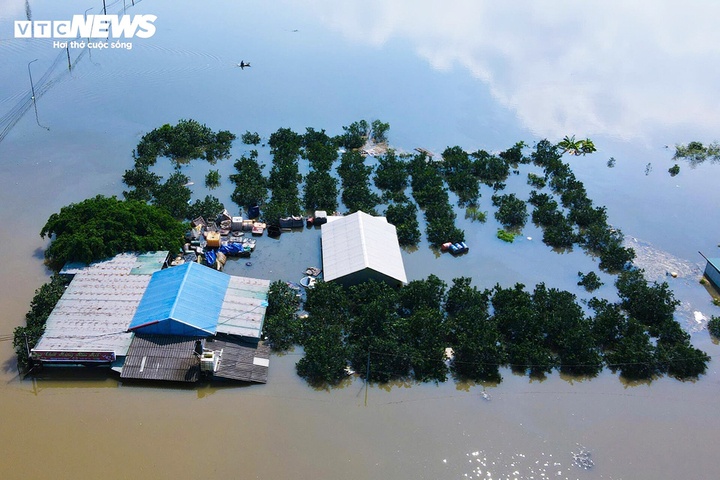 Lu tren song Cau anh 1