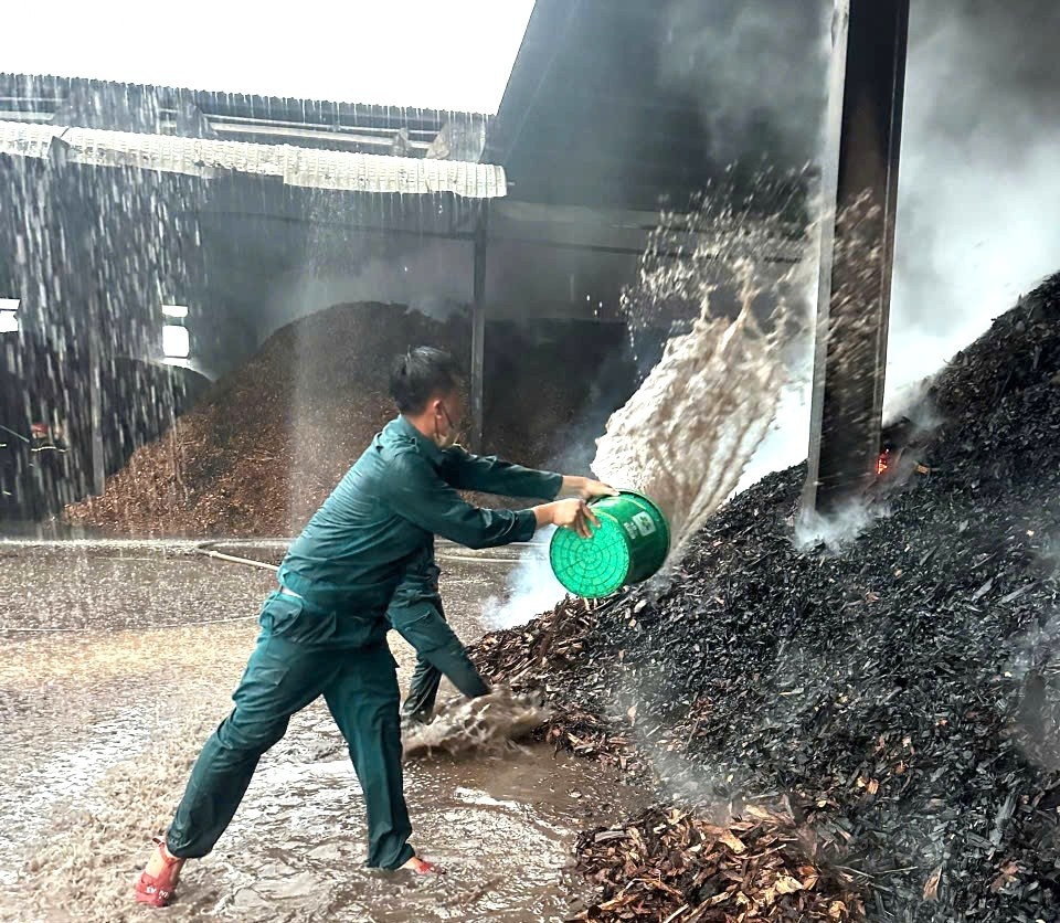 Chay xuong Phuoc Hoa TP.HCM anh 4