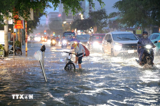 Trieu cuong Can Tho anh 1