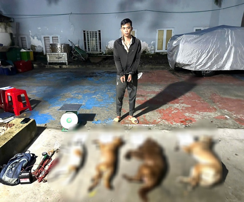 kích điện tự chế,  bột ớt,  để trộm chó ảnh 2 kich dien tu che,  bot ot,  de trom cho anh 2