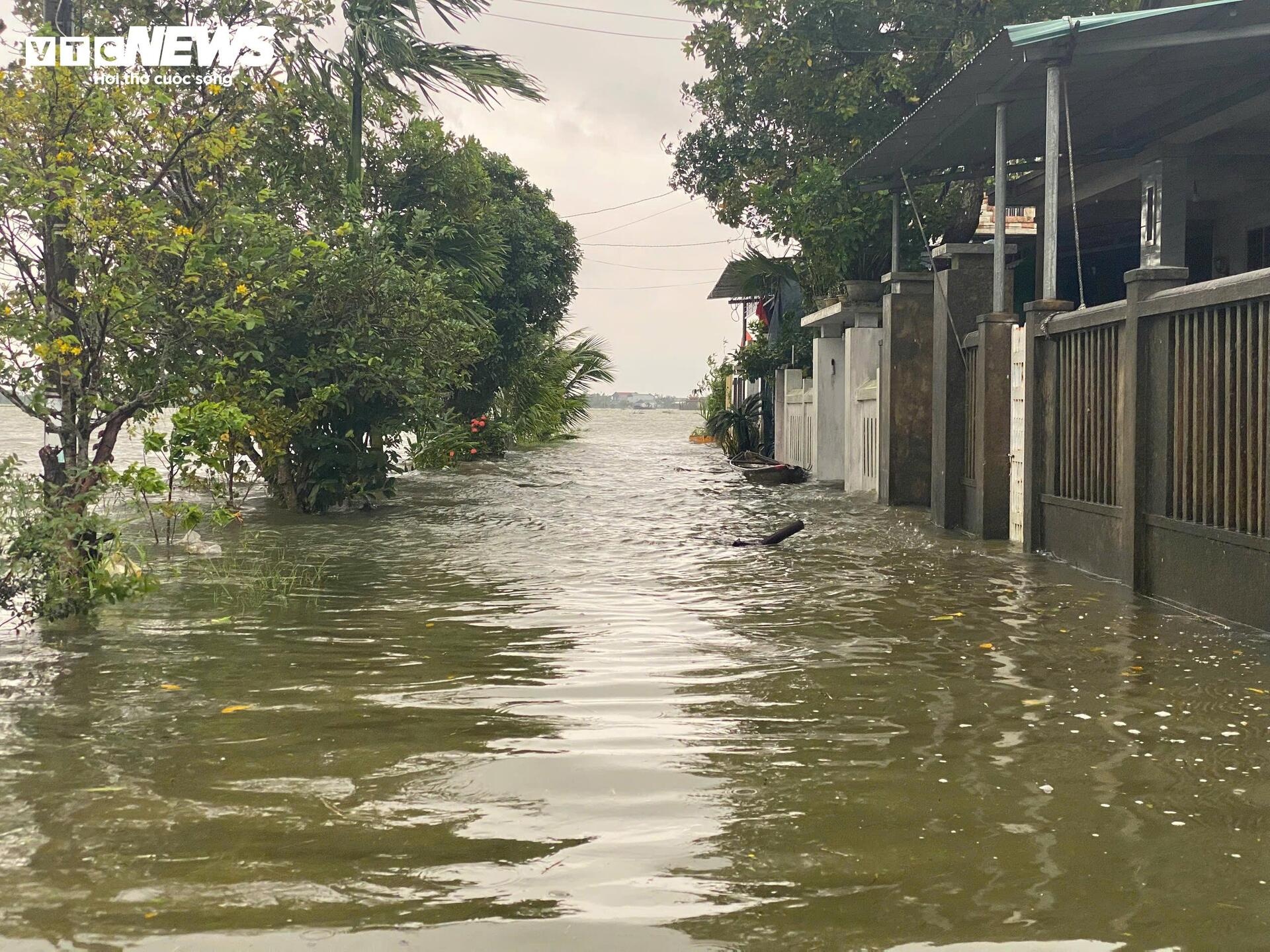 Lu lut ngap Hue anh 2