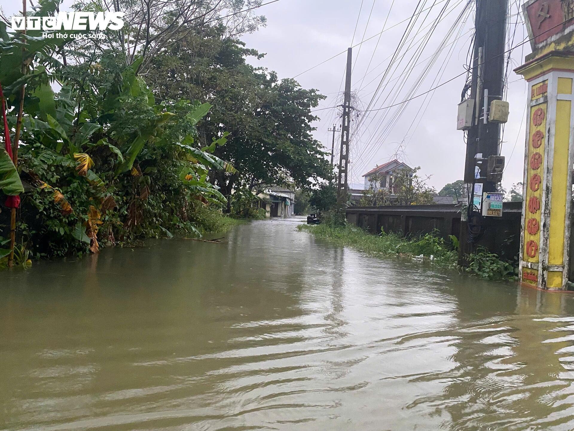 Lu lut ngap Hue anh 3