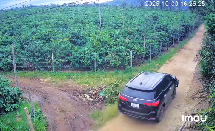 Danh tính tài xế,  lái ôtô,  tông tử vong ảnh 1 Danh tinh tai xe,  lai oto,  tong tu vong anh 1