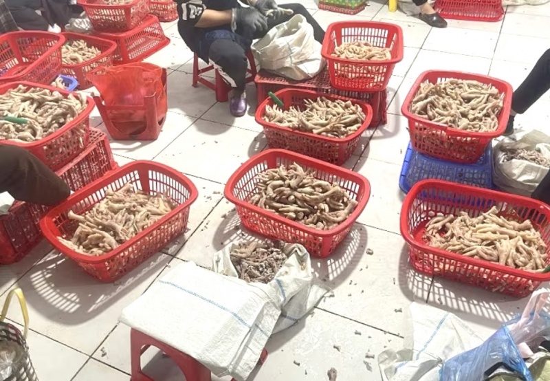 chân gà bẩn,  kinh doanh Tuấn Minh,  Hộ Tuấn Minh,  Chủ hộ Tuấn Minh,  Cơ sở Tuấn Minh,  bà Nông Thúy Hằng ảnh 1 chan ga ban,  kinh doanh Tuan Minh,  Ho Tuan Minh,  Chu ho Tuan Minh,  Co so Tuan Minh,  ba Nong Thuy Hang anh 1