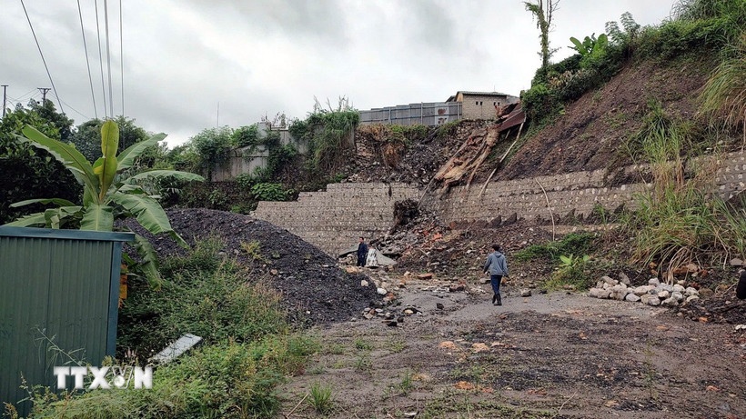 Xu ly hanh vi,  san gat dat,  trai phep,  Cty Than Nui Beo,  DN Than Nui Beo,  Cong ty Cavico,  Doanh nghiep Cavico,  Giam doc Cavico anh 1