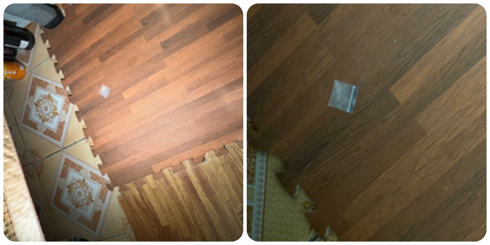 To chuc bay lac,  Ngay noi lam viec anh 1