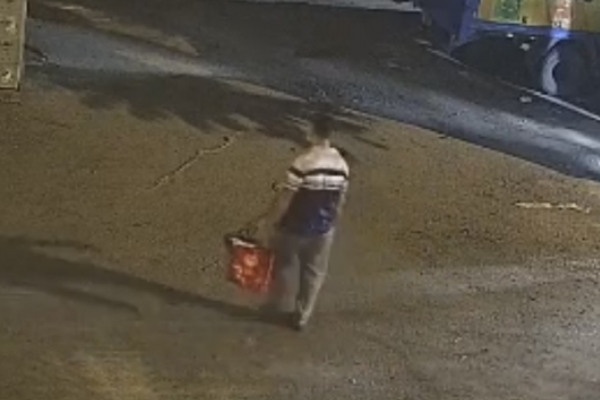 Nhan vien moi vao lam vai ngay da dot nhap cong ty de trom oto hinh anh